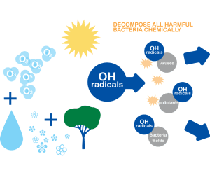 OH רדיקל פעולה