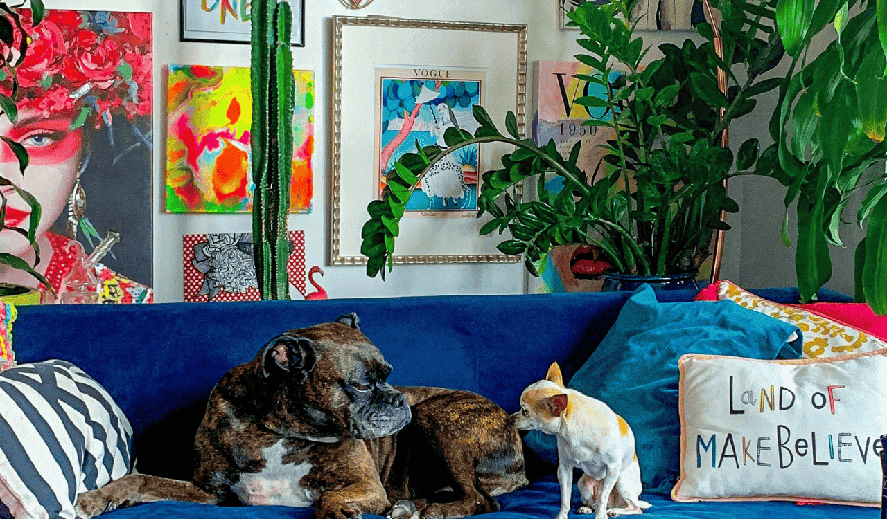 הקשר בין זיהום אוויר בתוך הבית לבריאות הנפש