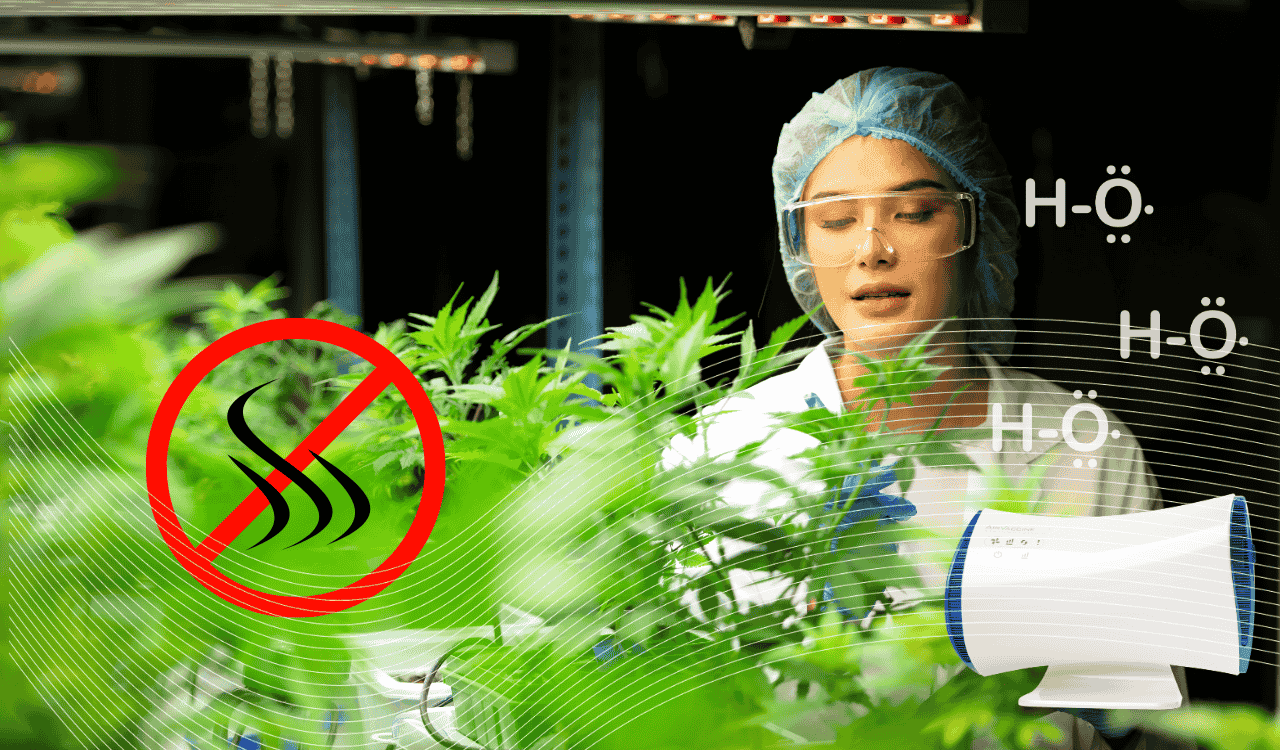 המדע מאחורי מחוללי הידרוקסיל וסילוק ריחות