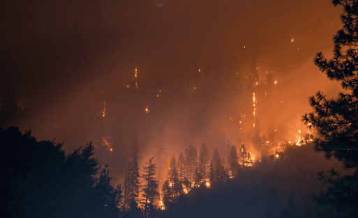 חשיפה לעשן שריפות בר קשורה להחמרת מצבים נפשיים