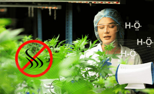 המדע מאחורי מחוללי הידרוקסיל וסילוק ריחות